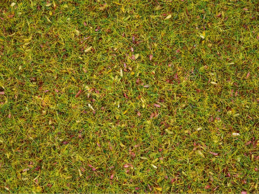 Statická tráva - kamenitá horská louka 2,5mm - Noch 08360
