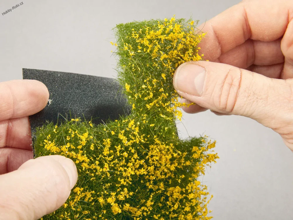 Foliáž bíle kvetoucí - Noch 07256