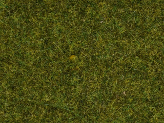 Statická tráva - louka 2,5mm - Noch 08152